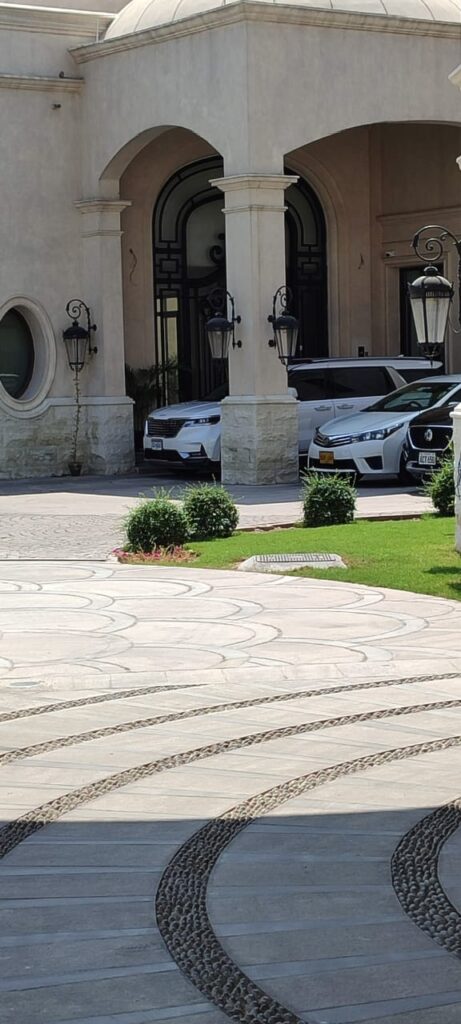 What Does Boson Mean?